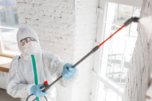 Mold Remediation for Rental Properties in Willard, UT